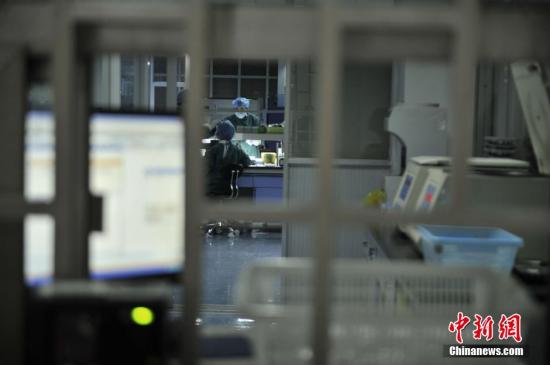 资料图 中新社记者 陈超 摄 资料图 中新社记者 陈超 摄