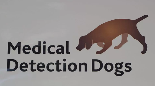 黛西的主人克莱尔-盖斯特博士是“医疗侦测犬”（Medical Detection Dogs）组织的主管，该组织是进行犬类助诊疾病研究的慈善团体，其研究具有十分宝贵的医学价值。