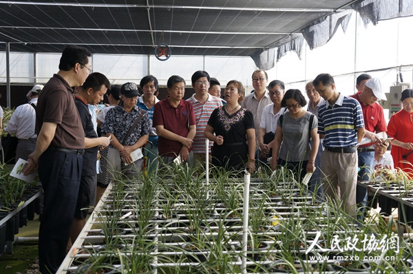 广西柳州市政协视察沙塘“农都”旧址