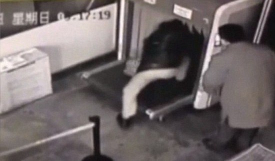 盘点今年上头条的奇葩游客