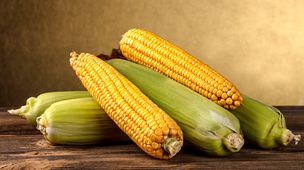 MAIN201608091050460673032990815 MAIN201608091050460673032990815