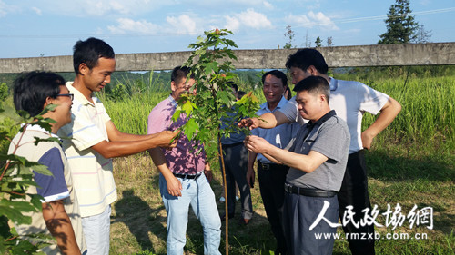 江西省武宁县政协关注秀美乡村建设与发展