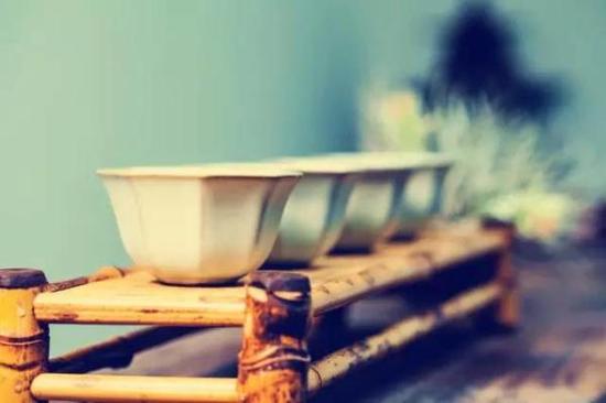 瓷器，会是让你爱上美学的“磁”器