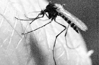 C2016-08-10zx701_P_1_1785_2251_2102_2460 C2016-08-10zx701_P_1_1785_2251_2102_2460