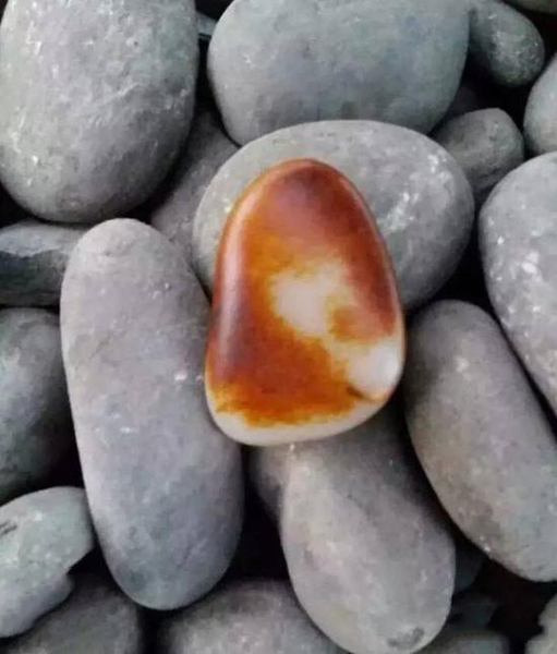 1470798895783 1470798895783