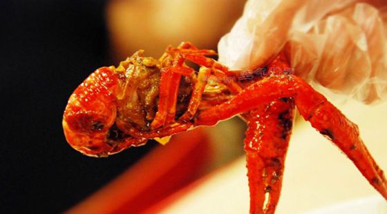 MAIN201608101044357282825969200 MAIN201608101044357282825969200