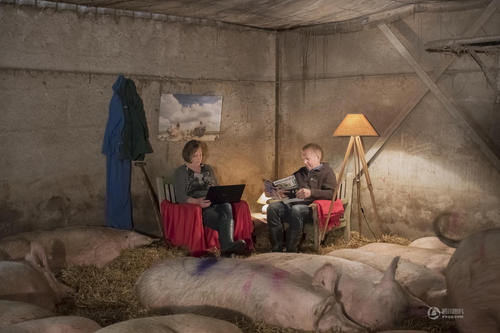 农民家庭在猪圈与熟睡的猪拍摄合影。