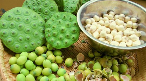 MAIN201608111028420378055297222 MAIN201608111028420378055297222