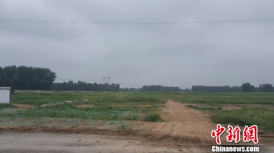 巴铁河南周口项目圈地后杂草丛生 齐永 摄 巴铁河南周口项目圈地后杂草丛生 齐永 摄