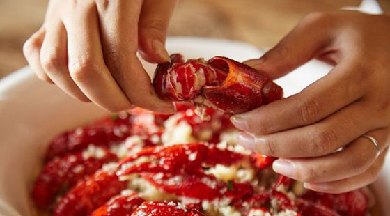 MAIN201608151027141701901465556 MAIN201608151027141701901465556