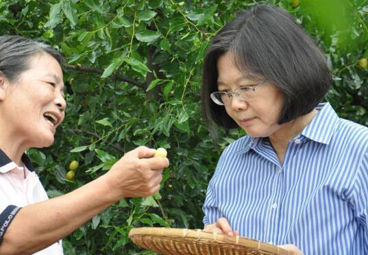 曝蔡英文吃千元法国菜 台网友:不喜欢当局乱花钱