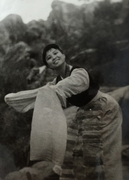 C20160816004-zx8 C20160816004-zx8