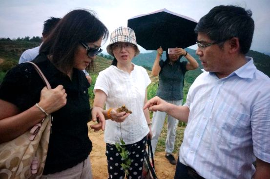 20160817112517724966 20160817112517724966