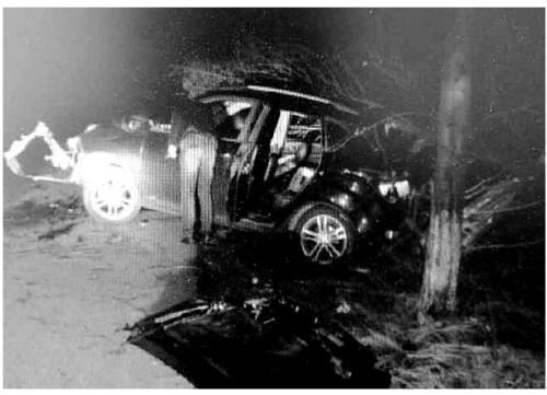 男子酒后驾车撞断树 父亲心疼车顶包骗保