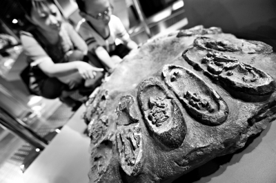 记者 饶强摄 记者 饶强摄