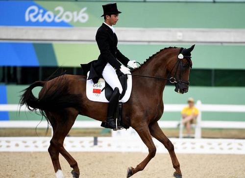 中国总结:三大梦之队下滑 女排制造最大惊喜