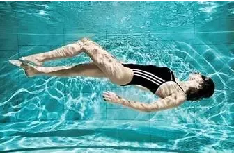 资料图片 资料图片