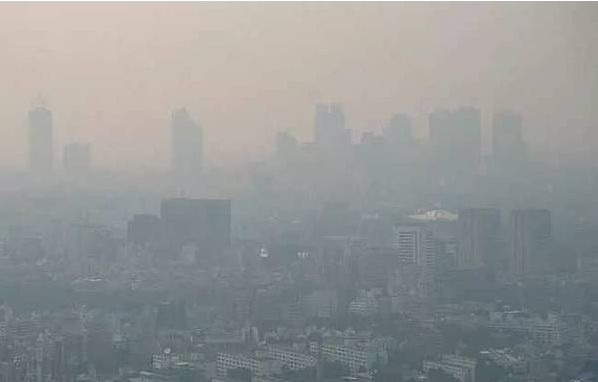 资料图片 资料图片