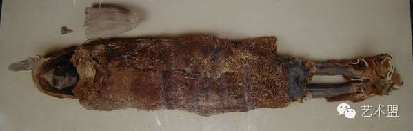 webwxgetmsgimg webwxgetmsgimg