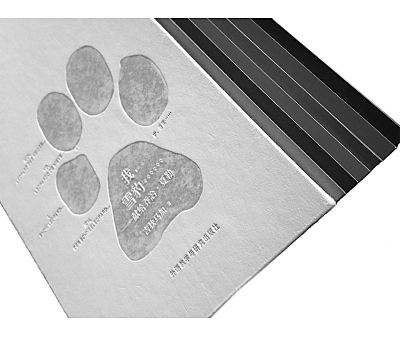 res04_attpic_brief res04_attpic_brief