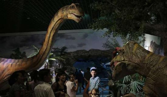 朝鲜平壤动物园里啥模样？“狗屋”是最热门景点