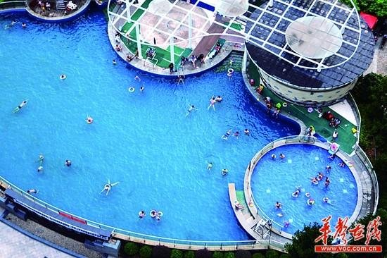 谣传再起称女生游泳池玩水后怀孕 专家:完全不可能