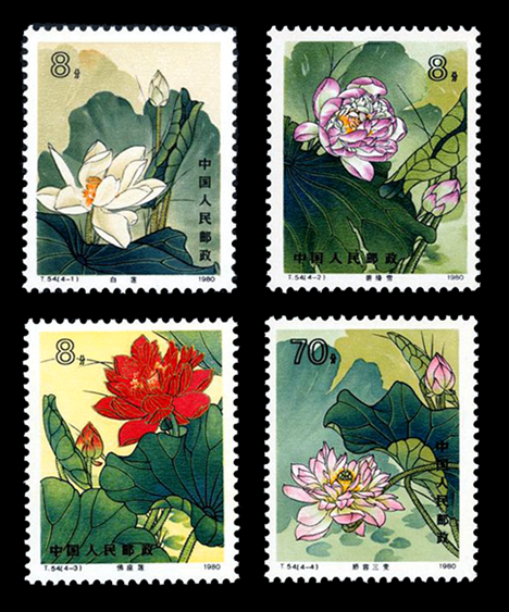 QQ图片20160826152643 QQ图片20160826152643