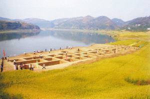 Img252961611 Img252961611