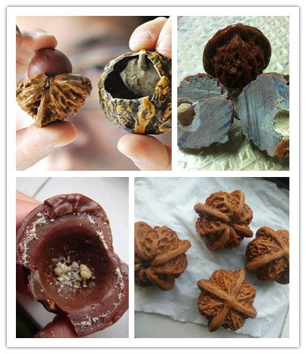 正值核桃成熟的季节，地摊上有不少卖文玩核桃的，小潘这几天就听闻有网友被骗，摊主自称河北涞源的妇女，以马上开学要回家陪孩子为由，将核桃以20元/对的价格处理，当网友买回家刷出来一看，才发现上当受骗，竟是塑料制成的。