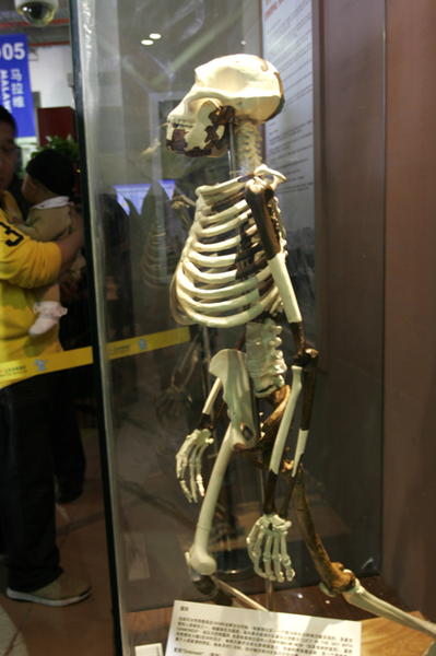 59f85d69n86cb78c05140&690 59f85d69n86cb78c05140&690