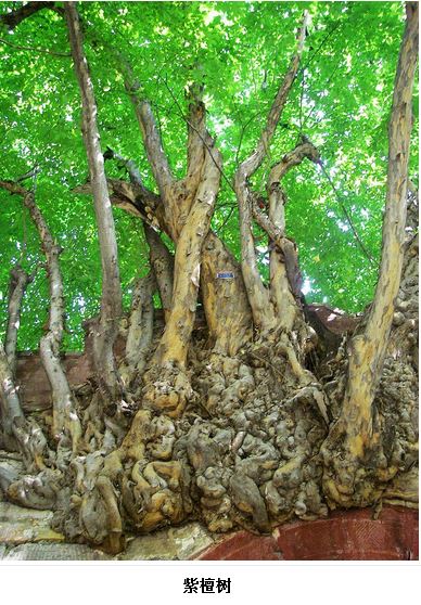 8c1001e93901213fa942107f55e736d12f2e951b 8c1001e93901213fa942107f55e736d12f2e951b