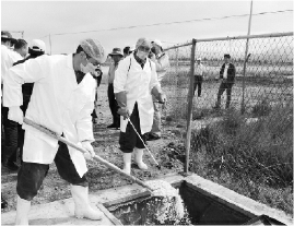     防疫人员对病畜内脏进行无害化处理。