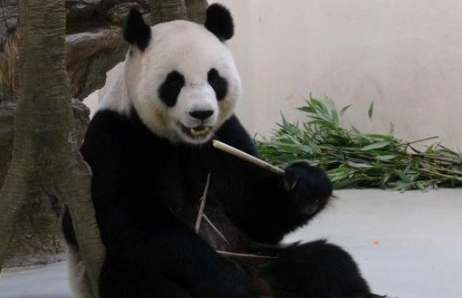 20150728034128768 20150728034128768