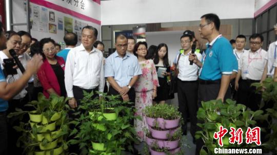 图为台湾精致农业技术展区。康孝娟 摄