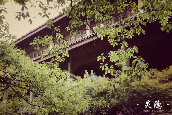 560c943atdf2d10082e32&690 560c943atdf2d10082e32&690