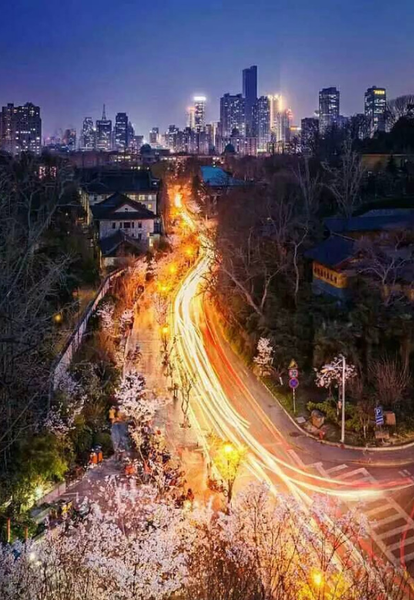 QQ图片20160901165149 QQ图片20160901165149