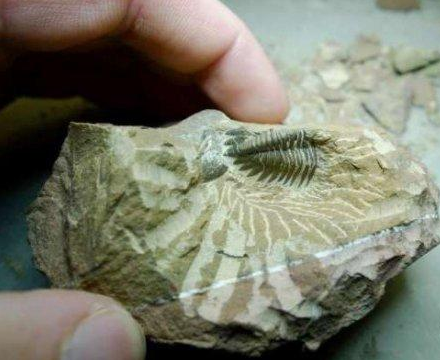 QQ图片20160902091149 QQ图片20160902091149