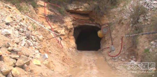 男子野外挖到奇石:切割后的发现让人震撼