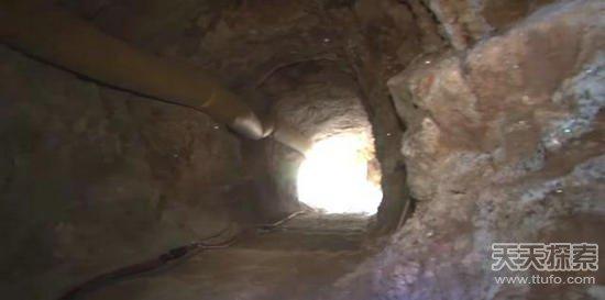 男子野外挖到奇石:切割后的发现让人震撼