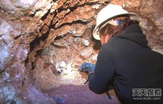 男子野外挖到奇石:切割后的发现让人震撼