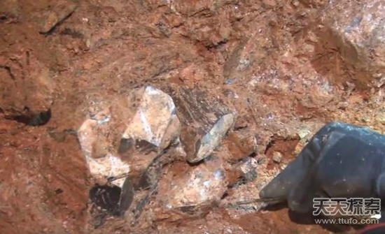 男子野外挖到奇石:切割后的发现让人震撼