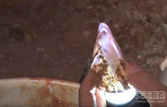 男子野外挖到奇石:切割后的发现让人震撼
