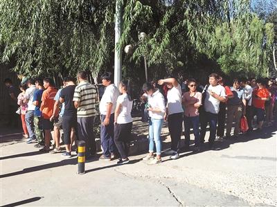 违章缴费排长队 黄牛趁机揽客