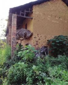 “5岁男童深夜失踪”续:22岁嫌疑人称只为“好玩”