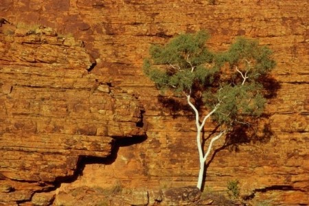 002564baa01811c1122d15 002564baa01811c1122d15