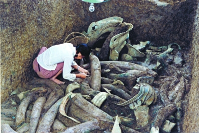 1986年发掘现场 1986年发掘现场