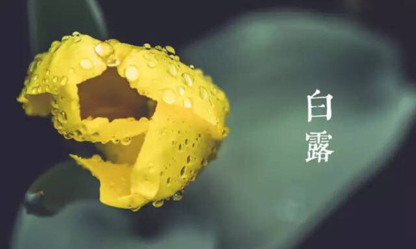 MAIN201609071038331838345178377 MAIN201609071038331838345178377