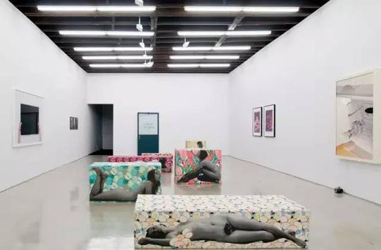 “抗体”，Lisa Cooley画廊