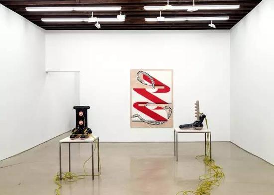 Zachary Leener 和Anne Neukamp, Lisa Cooley画廊，2015