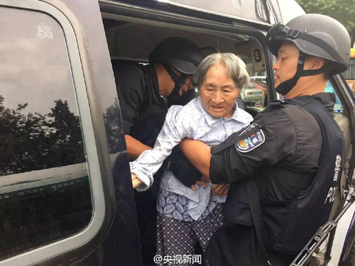 13779907095269529662 13779907095269529662